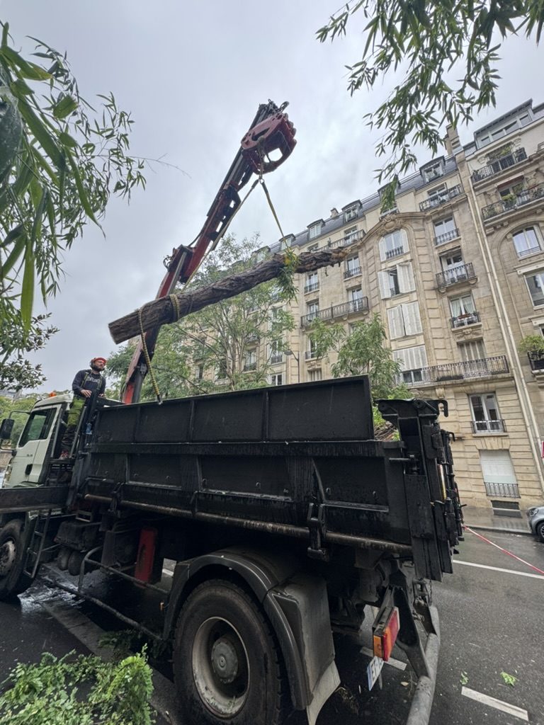 Intervention d’urgence : évacuation d’un arbre tombé au camion-grue